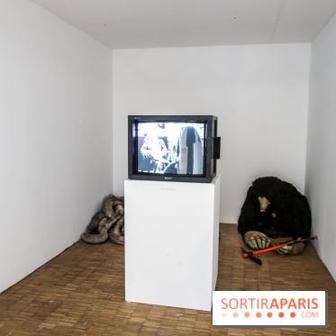 Paris Animal, nos photos de l'expo à Paris