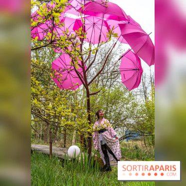 Le Moulin jaune - Hanami 2023
