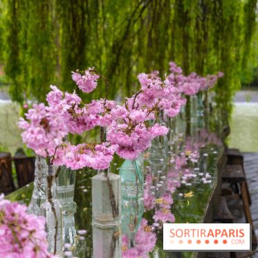 Le Moulin jaune - Hanami 2023