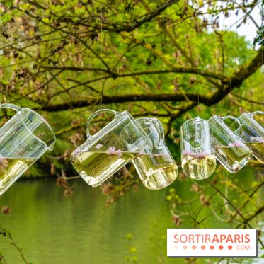 Le Moulin jaune - Hanami 2023