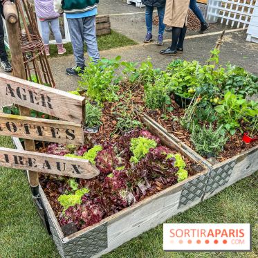 Esprit Jardin à Versailles - Marché aux plantes et animations  - IMG 6153