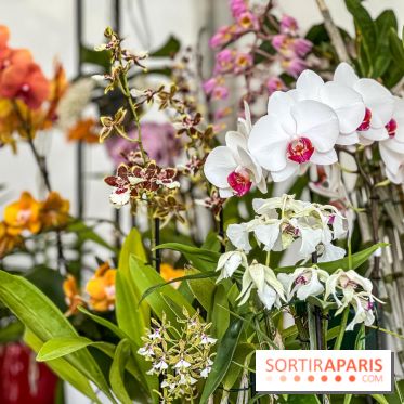 Esprit Jardin à Versailles - Marché aux plantes et animations