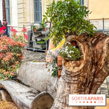 Esprit Jardin à Versailles - Marché aux plantes et animations  - IMG 6089