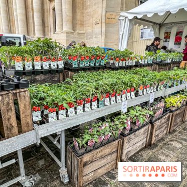 Esprit Jardin à Versailles - Marché aux plantes et animations  - IMG 6097