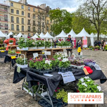 Esprit Jardin à Versailles - Marché aux plantes et animations