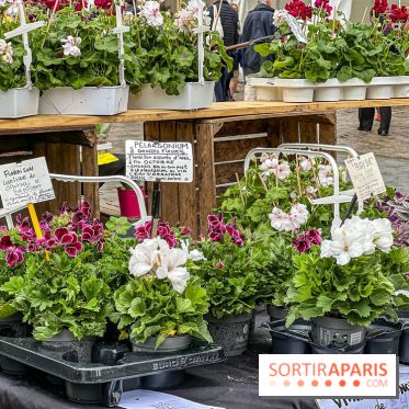 Esprit Jardin à Versailles - Marché aux plantes et animations  - IMG 6125