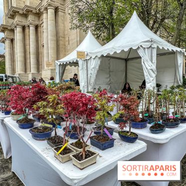 Esprit Jardin à Versailles - Marché aux plantes et animations