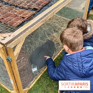 Esprit Jardin à Versailles - Marché aux plantes et animations  - IMG 6147