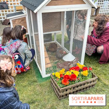 Esprit Jardin à Versailles - Marché aux plantes et animations  - IMG 6144