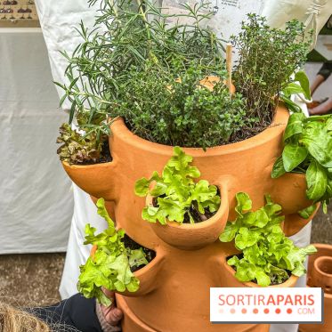 Esprit Jardin à Versailles - Marché aux plantes et animations