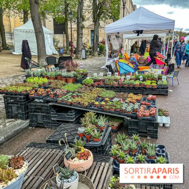Esprit Jardin à Versailles - Marché aux plantes et animations  - IMG 6091