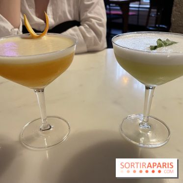 Griffon - Visuels - IMG 3780