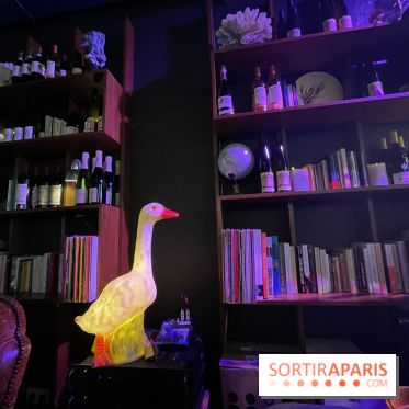 Griffon - Visuels - IMG 3794