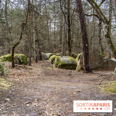 Barbizon, le village entre art et nature