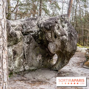 Barbizon, le village entre art et nature  -  A7C7538