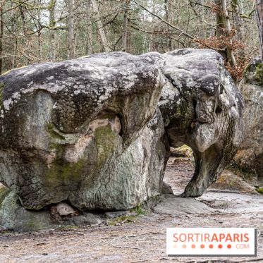 Barbizon, le village entre art et nature  -  A7C7535