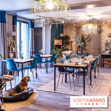 La Bastide de Barbizon - Chambre d'Hôte à Barbizon -  A7C7423