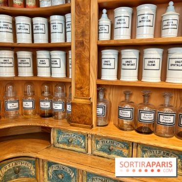 Musée de la Pharmacie - Dynastie Menier - IMG 2208