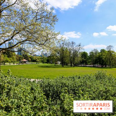 Parc André Malraux à Nanterre, nos photos - IMG 9723