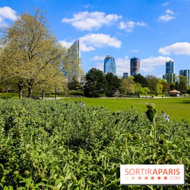 Parc André Malraux à Nanterre, nos photos - IMG 9724
