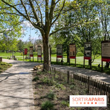 Parc André Malraux à Nanterre, nos photos - IMG 9726