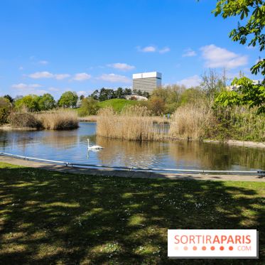 Parc André Malraux à Nanterre, nos photos - IMG 9750