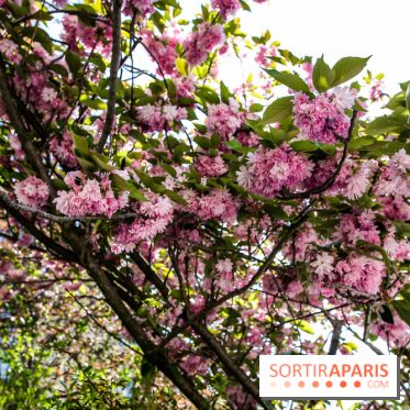 L'île de la Jatte, nos photos - IMG 9699