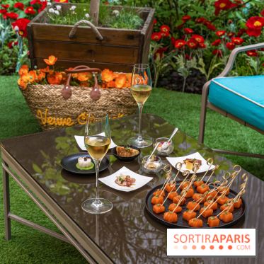 La terrasse cachée du Joy à l'Hôtel Fouquet's 2023 : le jardin de coquelicots -  A7C2762