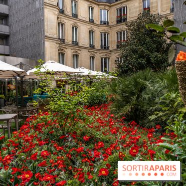 La terrasse cachée du Joy à l'Hôtel Fouquet's 2023 : le jardin de coquelicots -  A7C2758
