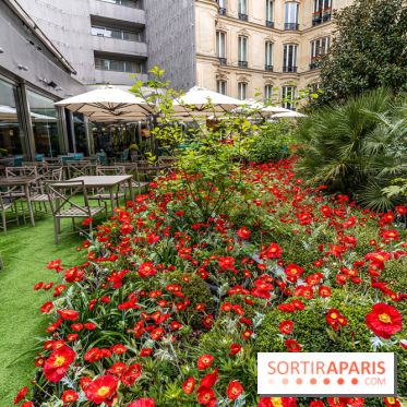 La terrasse cachée du Joy à l'Hôtel Fouquet's 2023 : le jardin de coquelicots -  A7C2754