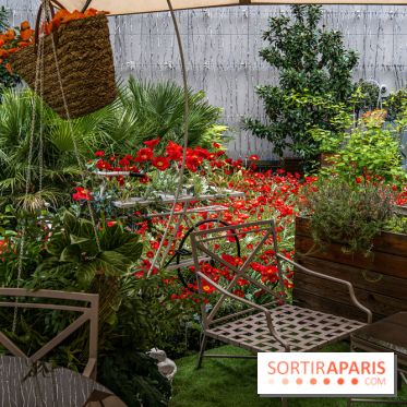 La terrasse cachée du Joy à l'Hôtel Fouquet's 2023 : le jardin de coquelicots -  A7C2732