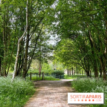 Balade - rando de Jouy-en-Josas jusqu'à l'Aqueduc de Buc - image00009