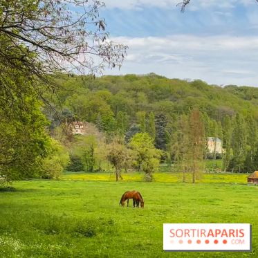 Balade - rando de Jouy-en-Josas jusqu'à l'Aqueduc de Buc