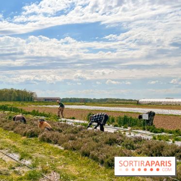 Balade - rando de Jouy-en-Josas jusqu'à l'Aqueduc de Buc - image00003