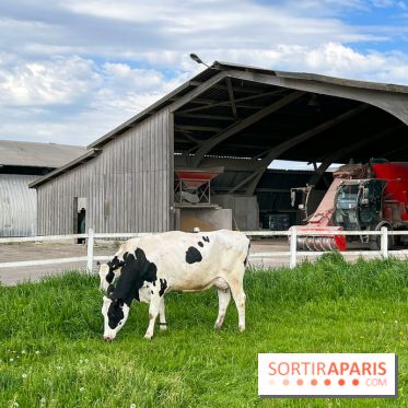 Balade - rando de Jouy-en-Josas jusqu'à l'Aqueduc de Buc - image00010
