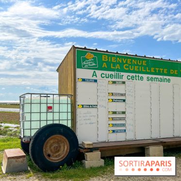 La Ferme de Viltain / La Cueillette de Viltain - image00002