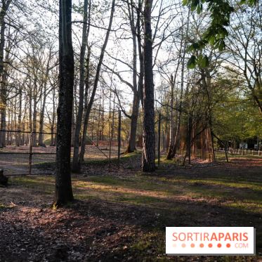 Les tanières du zoo de Thoiry 2023 - 90430532 4DE2 456B 8EB3 8FB9CE3622A6