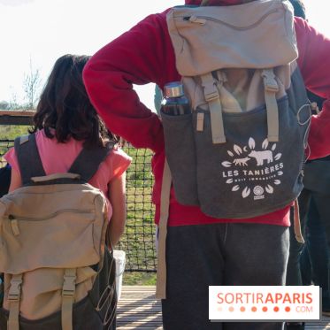 Les tanières du zoo de Thoiry 2023 -  Ours