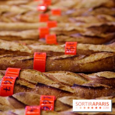 Concours de la meilleure baguette de Paris 2023 - Visuel baguette pain
