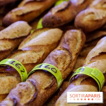 Concours de la meilleure baguette de Paris 2023 - Visuel baguette pain