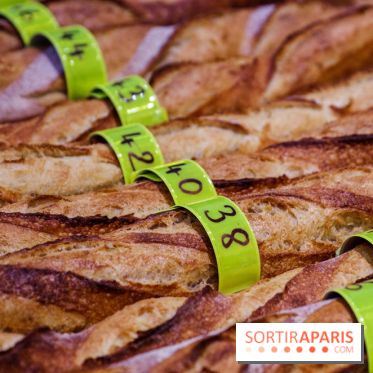 Concours de la meilleure baguette de Paris 2023 - Visuel baguette pain