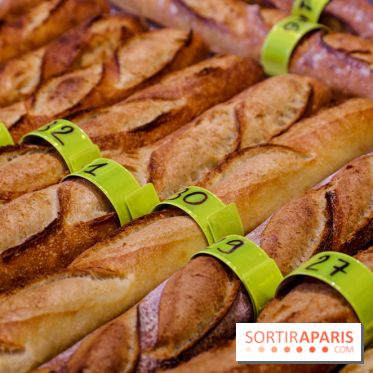 Concours de la meilleure baguette de Paris 2023 - Visuel baguette pain