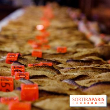 Concours de la meilleure baguette de Paris 2023 - Visuel baguette pain