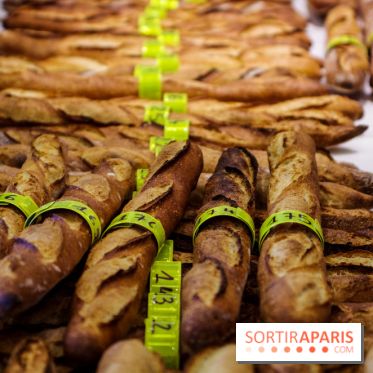 Concours de la meilleure baguette de Paris 2023 - Visuel baguette pain