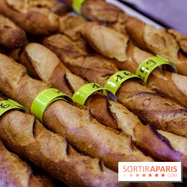 Concours de la meilleure baguette de Paris 2023 - Visuel baguette pain