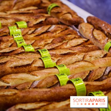 Concours de la meilleure baguette de Paris 2023 - Visuel baguette pain