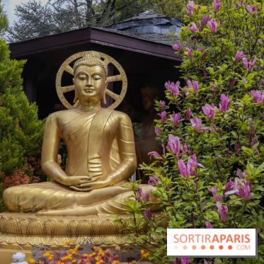 Wat Thammapatip Inrernational : la pagode bouddhiste et sa street food thaï, à Moissy-Cramayel - 8A0BB601 A591 4155 9363 62CE76412A10