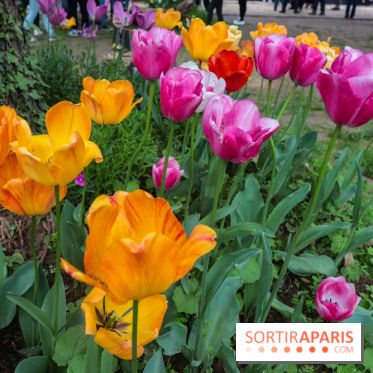 Wat Thammapatip Inrernational : la pagode bouddhiste et sa street food thaï, à Moissy-Cramayel - 50F5D52D D5E6 4A7B 9504 9907D05269BF