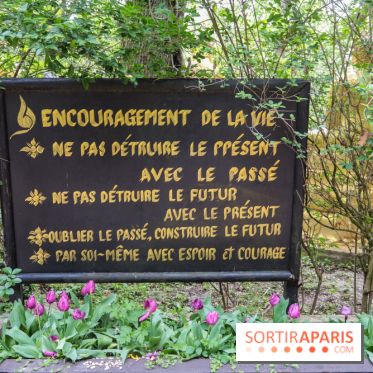 Wat Thammapatip Inrernational : la pagode bouddhiste et sa street food thaï, à Moissy-Cramayel - DC925664 D492 4B7B BB8D 64DF7F4274F6