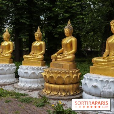 Wat Thammapatip Inrernational : la pagode bouddhiste et sa street food thaï, à Moissy-Cramayel - 0F1FD8B8 7837 4D24 817E 33457AFEFCE3